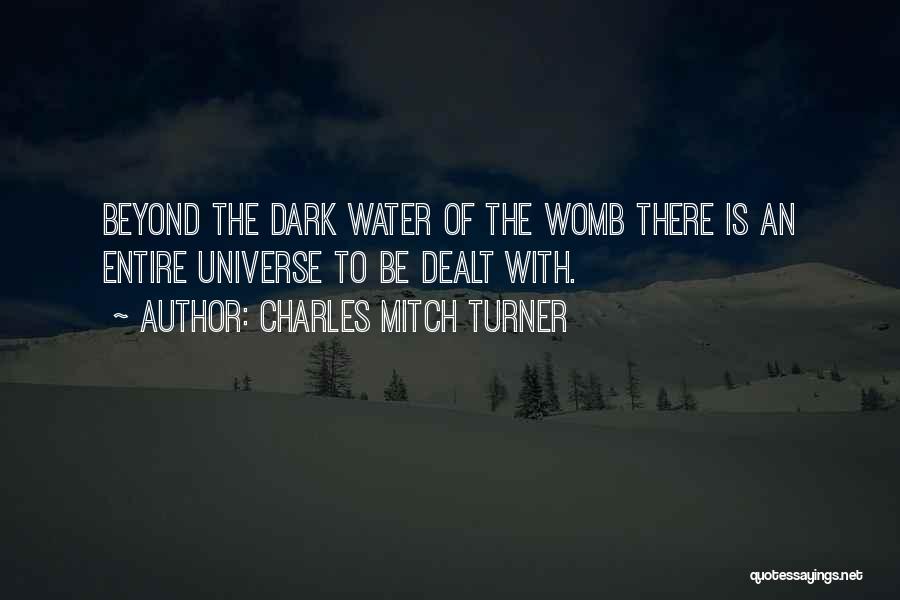 Charles Mitch Turner Quotes: Beyond The Dark Water Of The Womb There Is An Entire Universe To Be Dealt With.