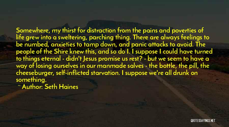 Seth Haines Quotes: Somewhere, My Thirst For Distraction From The Pains And Poverties Of Life Grew Into A Sweltering, Parching Thing. There Are