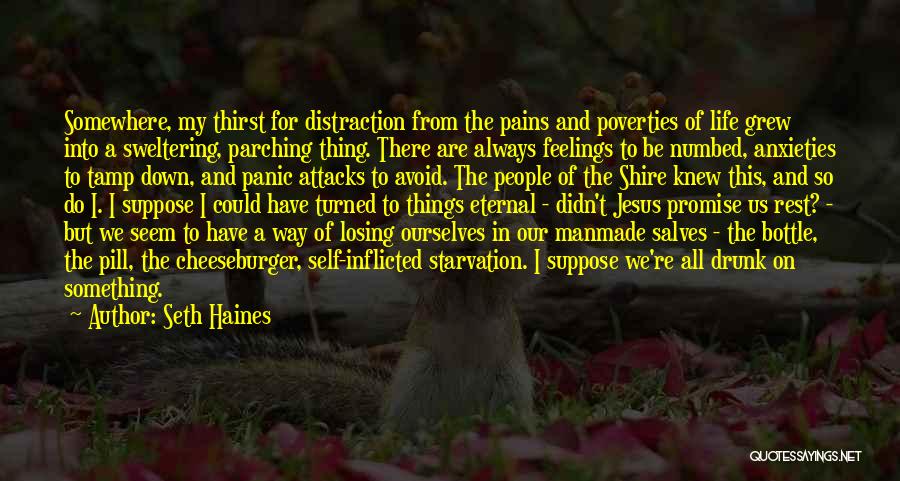 Seth Haines Quotes: Somewhere, My Thirst For Distraction From The Pains And Poverties Of Life Grew Into A Sweltering, Parching Thing. There Are