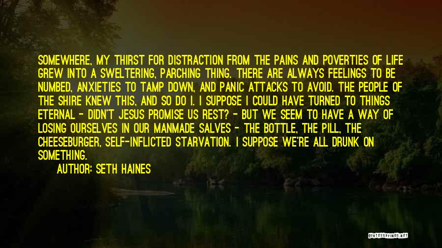 Seth Haines Quotes: Somewhere, My Thirst For Distraction From The Pains And Poverties Of Life Grew Into A Sweltering, Parching Thing. There Are