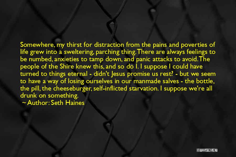 Seth Haines Quotes: Somewhere, My Thirst For Distraction From The Pains And Poverties Of Life Grew Into A Sweltering, Parching Thing. There Are