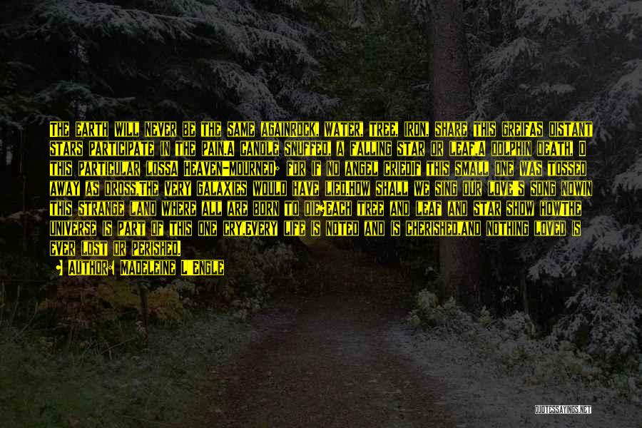 Madeleine L'Engle Quotes: The Earth Will Never Be The Same Againrock, Water, Tree, Iron, Share This Greifas Distant Stars Participate In The Pain.a