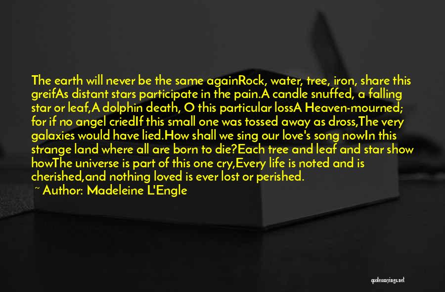 Madeleine L'Engle Quotes: The Earth Will Never Be The Same Againrock, Water, Tree, Iron, Share This Greifas Distant Stars Participate In The Pain.a