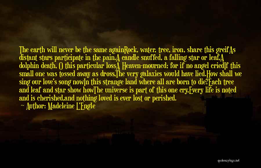 Madeleine L'Engle Quotes: The Earth Will Never Be The Same Againrock, Water, Tree, Iron, Share This Greifas Distant Stars Participate In The Pain.a