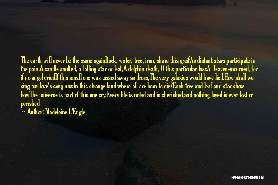 Madeleine L'Engle Quotes: The Earth Will Never Be The Same Againrock, Water, Tree, Iron, Share This Greifas Distant Stars Participate In The Pain.a