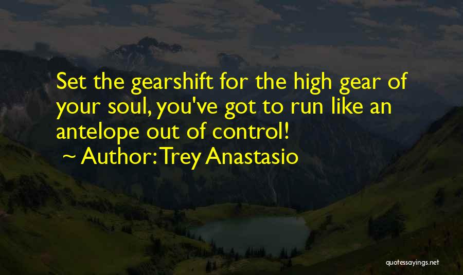 Trey Anastasio Quotes: Set The Gearshift For The High Gear Of Your Soul, You've Got To Run Like An Antelope Out Of Control!