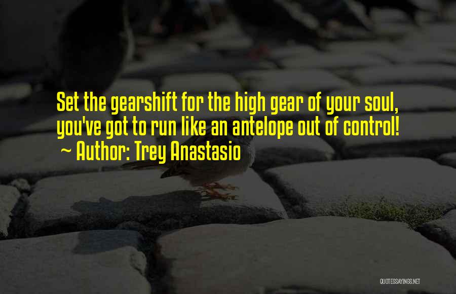 Trey Anastasio Quotes: Set The Gearshift For The High Gear Of Your Soul, You've Got To Run Like An Antelope Out Of Control!