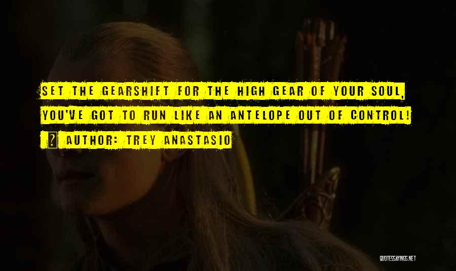 Trey Anastasio Quotes: Set The Gearshift For The High Gear Of Your Soul, You've Got To Run Like An Antelope Out Of Control!