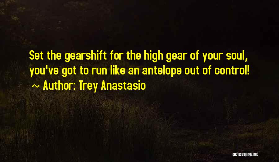 Trey Anastasio Quotes: Set The Gearshift For The High Gear Of Your Soul, You've Got To Run Like An Antelope Out Of Control!