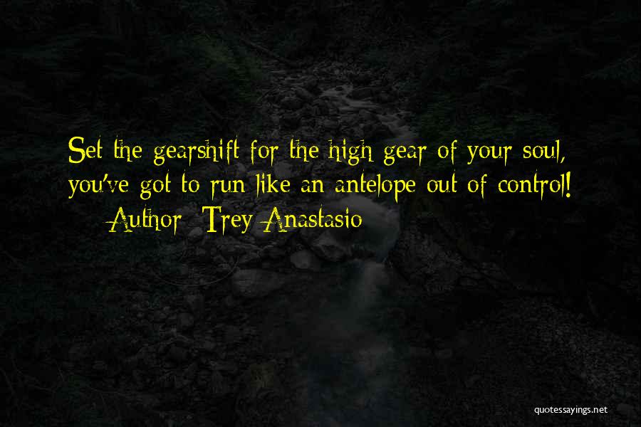 Trey Anastasio Quotes: Set The Gearshift For The High Gear Of Your Soul, You've Got To Run Like An Antelope Out Of Control!