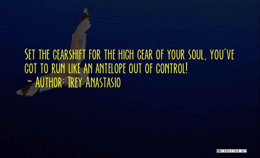 Trey Anastasio Quotes: Set The Gearshift For The High Gear Of Your Soul, You've Got To Run Like An Antelope Out Of Control!