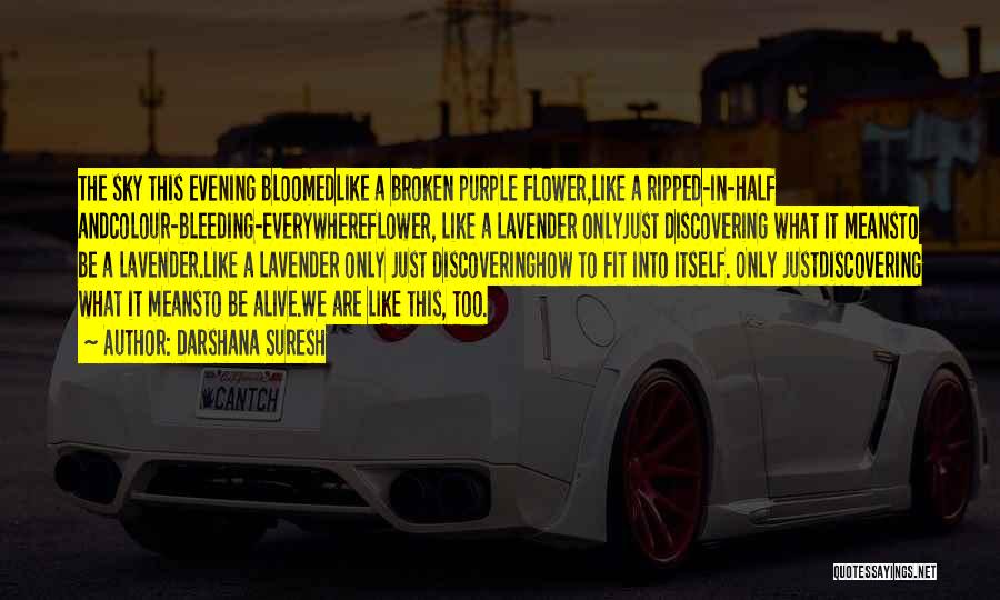 Darshana Suresh Quotes: The Sky This Evening Bloomedlike A Broken Purple Flower,like A Ripped-in-half Andcolour-bleeding-everywhereflower, Like A Lavender Onlyjust Discovering What It Meansto