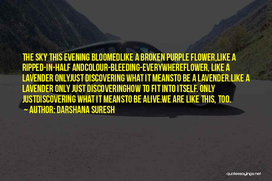 Darshana Suresh Quotes: The Sky This Evening Bloomedlike A Broken Purple Flower,like A Ripped-in-half Andcolour-bleeding-everywhereflower, Like A Lavender Onlyjust Discovering What It Meansto