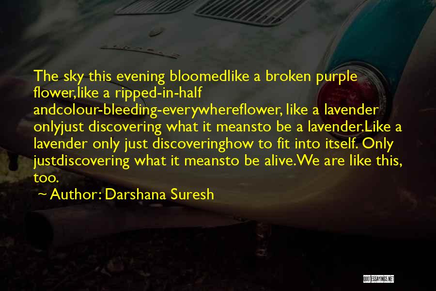 Darshana Suresh Quotes: The Sky This Evening Bloomedlike A Broken Purple Flower,like A Ripped-in-half Andcolour-bleeding-everywhereflower, Like A Lavender Onlyjust Discovering What It Meansto