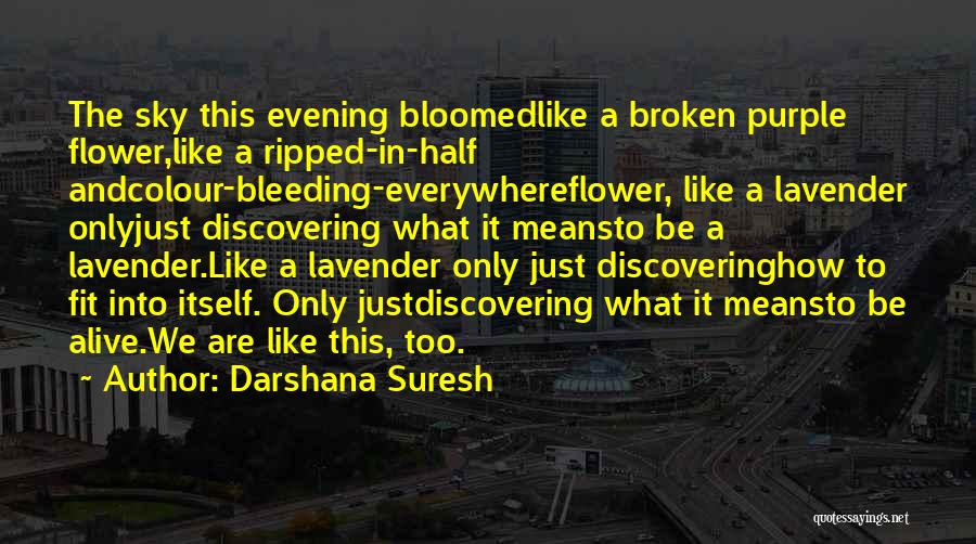 Darshana Suresh Quotes: The Sky This Evening Bloomedlike A Broken Purple Flower,like A Ripped-in-half Andcolour-bleeding-everywhereflower, Like A Lavender Onlyjust Discovering What It Meansto