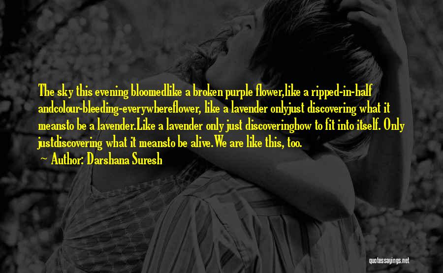 Darshana Suresh Quotes: The Sky This Evening Bloomedlike A Broken Purple Flower,like A Ripped-in-half Andcolour-bleeding-everywhereflower, Like A Lavender Onlyjust Discovering What It Meansto