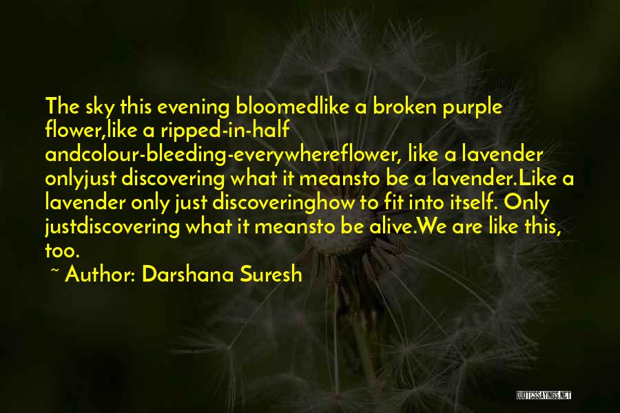 Darshana Suresh Quotes: The Sky This Evening Bloomedlike A Broken Purple Flower,like A Ripped-in-half Andcolour-bleeding-everywhereflower, Like A Lavender Onlyjust Discovering What It Meansto