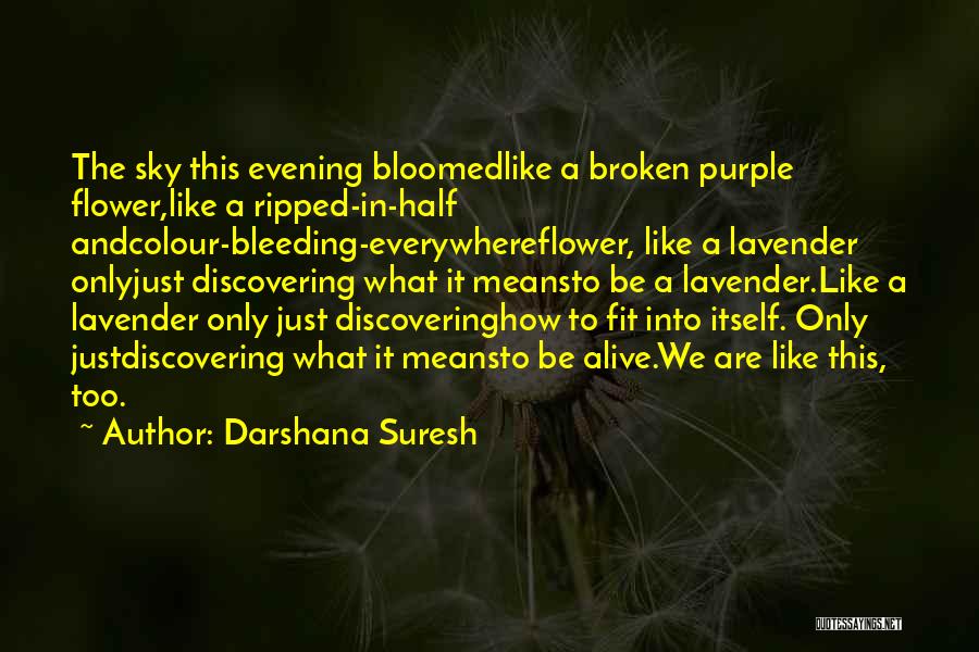 Darshana Suresh Quotes: The Sky This Evening Bloomedlike A Broken Purple Flower,like A Ripped-in-half Andcolour-bleeding-everywhereflower, Like A Lavender Onlyjust Discovering What It Meansto