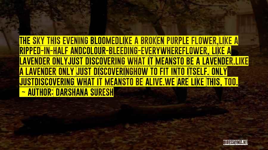 Darshana Suresh Quotes: The Sky This Evening Bloomedlike A Broken Purple Flower,like A Ripped-in-half Andcolour-bleeding-everywhereflower, Like A Lavender Onlyjust Discovering What It Meansto