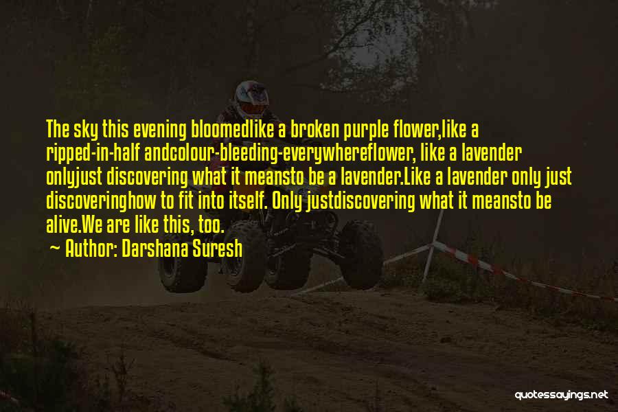 Darshana Suresh Quotes: The Sky This Evening Bloomedlike A Broken Purple Flower,like A Ripped-in-half Andcolour-bleeding-everywhereflower, Like A Lavender Onlyjust Discovering What It Meansto