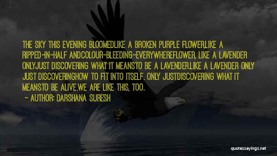 Darshana Suresh Quotes: The Sky This Evening Bloomedlike A Broken Purple Flower,like A Ripped-in-half Andcolour-bleeding-everywhereflower, Like A Lavender Onlyjust Discovering What It Meansto