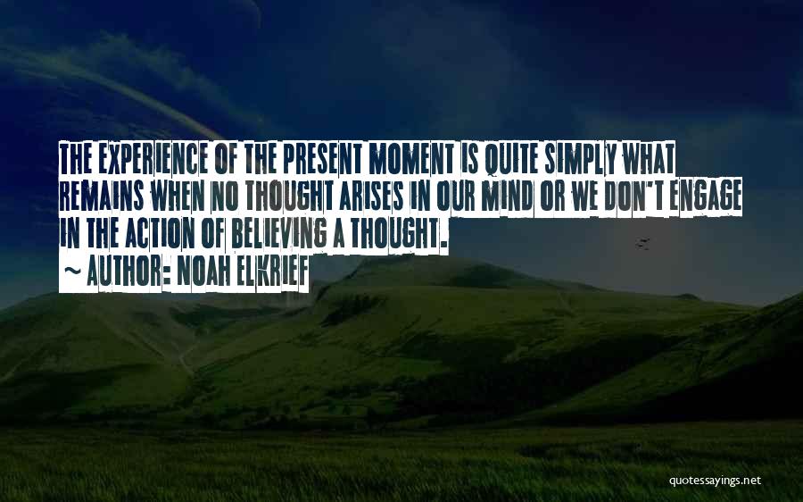 Noah Elkrief Quotes: The Experience Of The Present Moment Is Quite Simply What Remains When No Thought Arises In Our Mind Or We