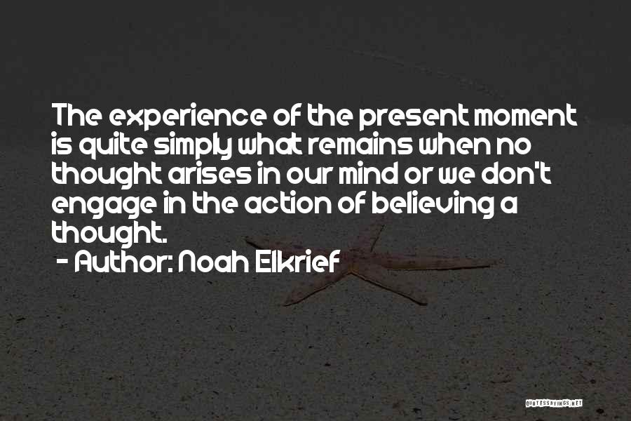 Noah Elkrief Quotes: The Experience Of The Present Moment Is Quite Simply What Remains When No Thought Arises In Our Mind Or We