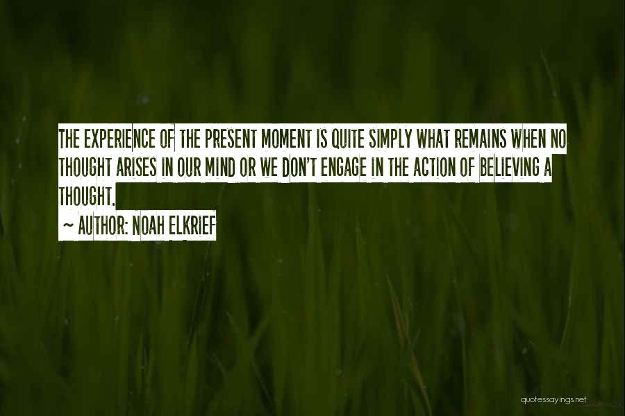 Noah Elkrief Quotes: The Experience Of The Present Moment Is Quite Simply What Remains When No Thought Arises In Our Mind Or We