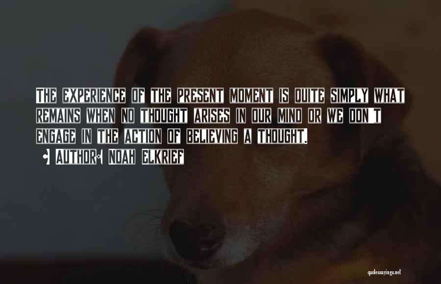 Noah Elkrief Quotes: The Experience Of The Present Moment Is Quite Simply What Remains When No Thought Arises In Our Mind Or We