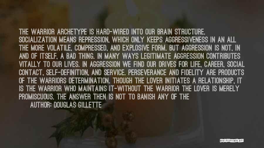 Douglas Gillette Quotes: The Warrior Archetype Is Hard-wired Into Our Brain Structure. Socialization Means Repression, Which Only Keeps Aggressiveness In An All The