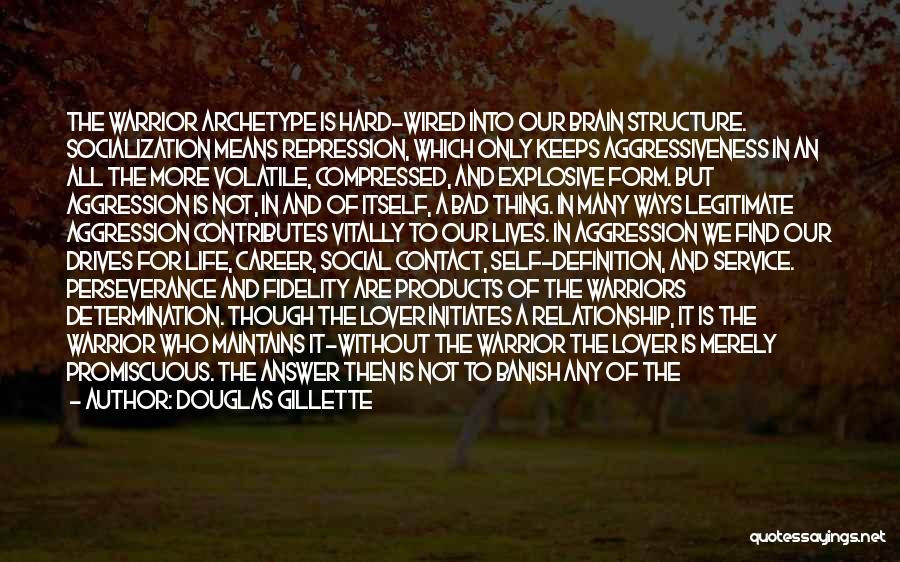 Douglas Gillette Quotes: The Warrior Archetype Is Hard-wired Into Our Brain Structure. Socialization Means Repression, Which Only Keeps Aggressiveness In An All The