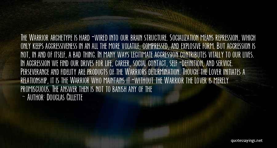 Douglas Gillette Quotes: The Warrior Archetype Is Hard-wired Into Our Brain Structure. Socialization Means Repression, Which Only Keeps Aggressiveness In An All The