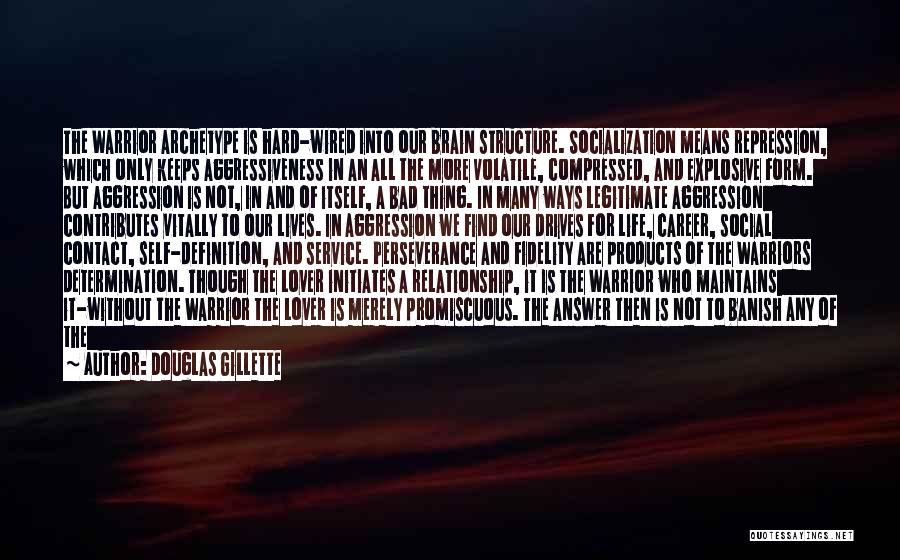 Douglas Gillette Quotes: The Warrior Archetype Is Hard-wired Into Our Brain Structure. Socialization Means Repression, Which Only Keeps Aggressiveness In An All The