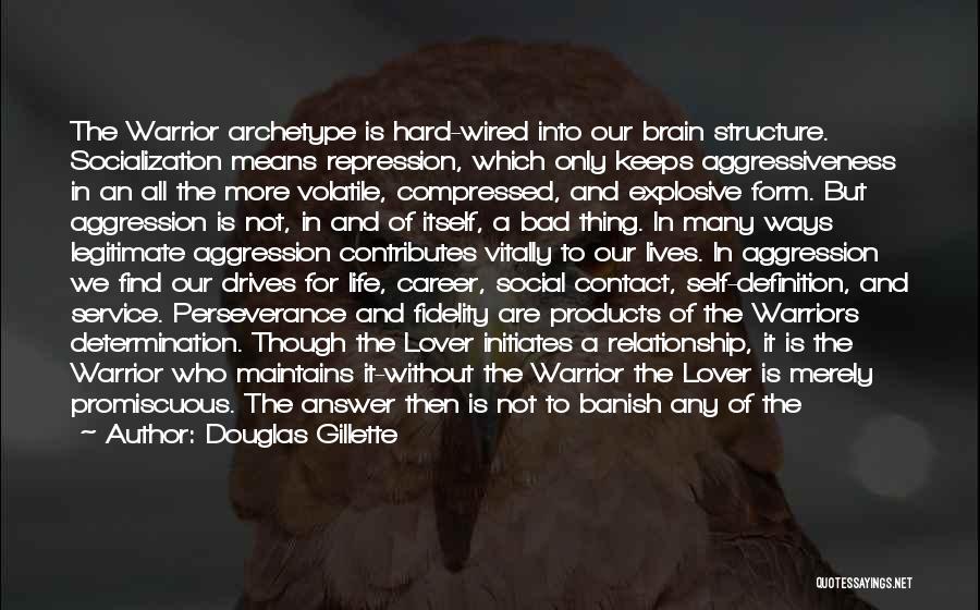 Douglas Gillette Quotes: The Warrior Archetype Is Hard-wired Into Our Brain Structure. Socialization Means Repression, Which Only Keeps Aggressiveness In An All The