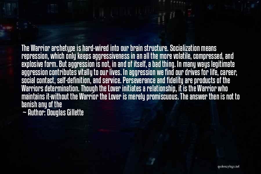 Douglas Gillette Quotes: The Warrior Archetype Is Hard-wired Into Our Brain Structure. Socialization Means Repression, Which Only Keeps Aggressiveness In An All The