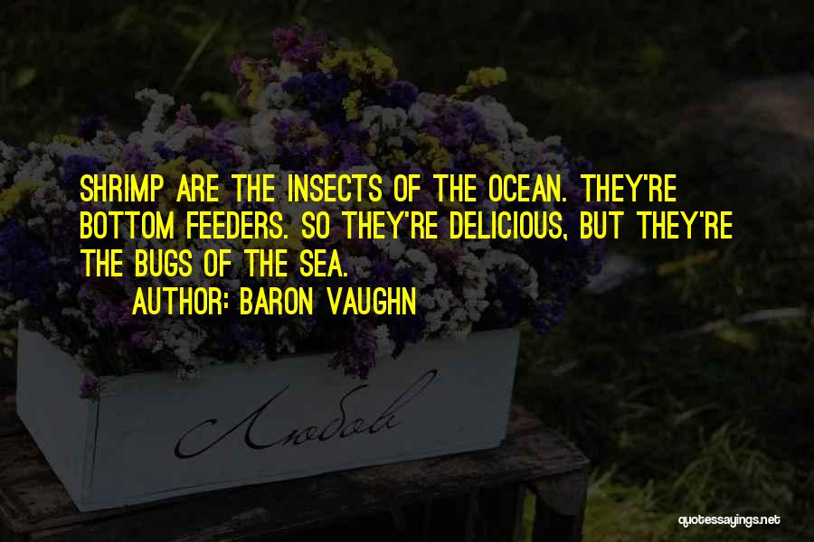 Baron Vaughn Quotes: Shrimp Are The Insects Of The Ocean. They're Bottom Feeders. So They're Delicious, But They're The Bugs Of The Sea.