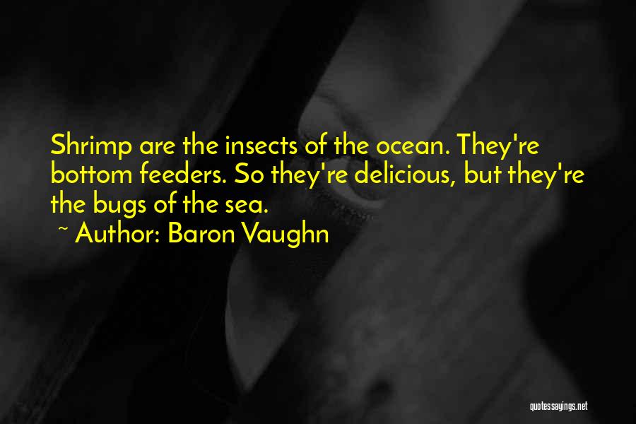 Baron Vaughn Quotes: Shrimp Are The Insects Of The Ocean. They're Bottom Feeders. So They're Delicious, But They're The Bugs Of The Sea.