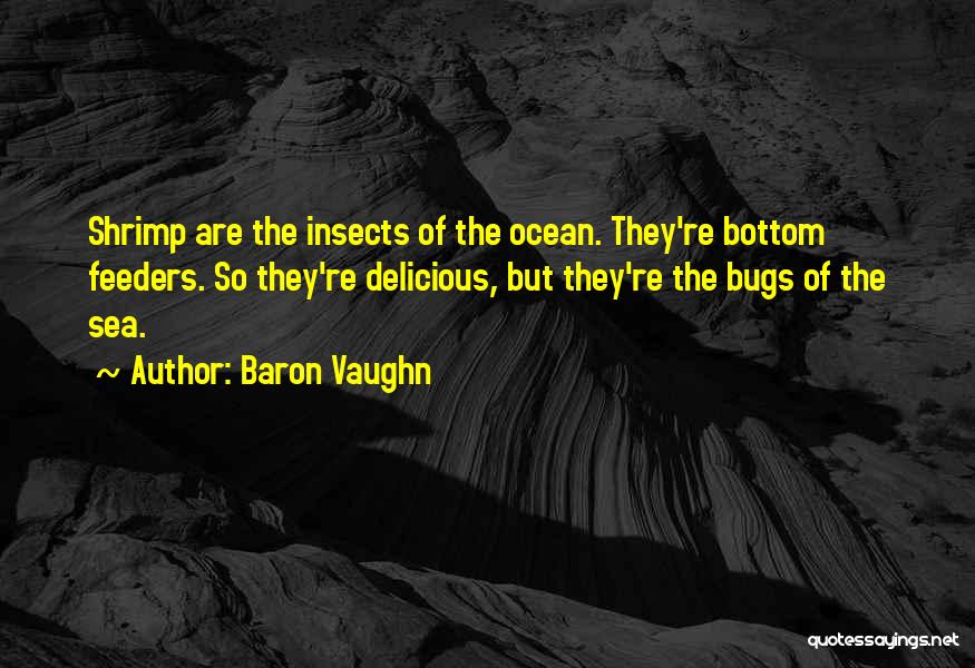 Baron Vaughn Quotes: Shrimp Are The Insects Of The Ocean. They're Bottom Feeders. So They're Delicious, But They're The Bugs Of The Sea.