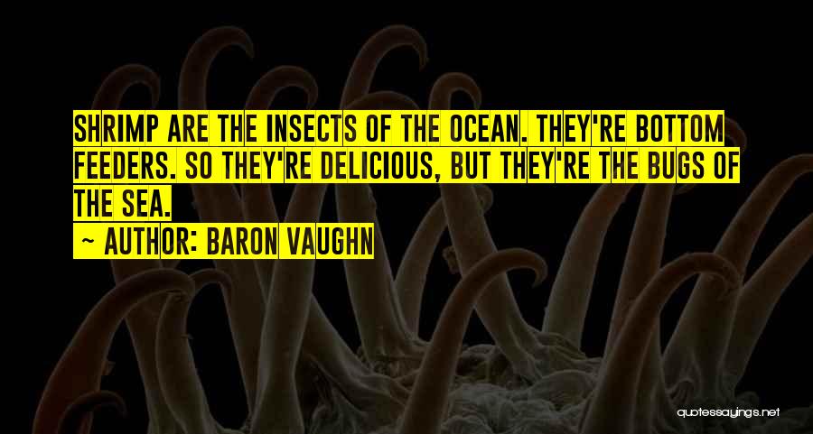 Baron Vaughn Quotes: Shrimp Are The Insects Of The Ocean. They're Bottom Feeders. So They're Delicious, But They're The Bugs Of The Sea.