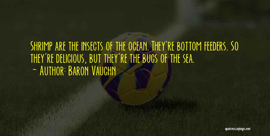 Baron Vaughn Quotes: Shrimp Are The Insects Of The Ocean. They're Bottom Feeders. So They're Delicious, But They're The Bugs Of The Sea.