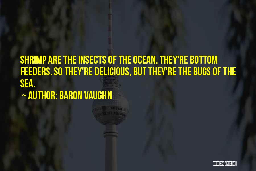 Baron Vaughn Quotes: Shrimp Are The Insects Of The Ocean. They're Bottom Feeders. So They're Delicious, But They're The Bugs Of The Sea.