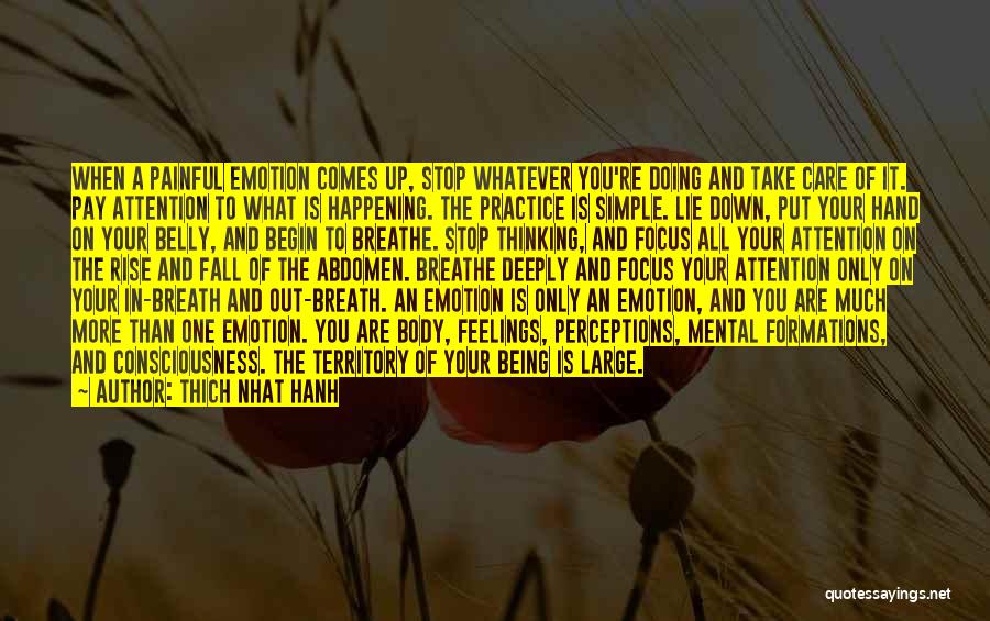 Thich Nhat Hanh Quotes: When A Painful Emotion Comes Up, Stop Whatever You're Doing And Take Care Of It. Pay Attention To What Is