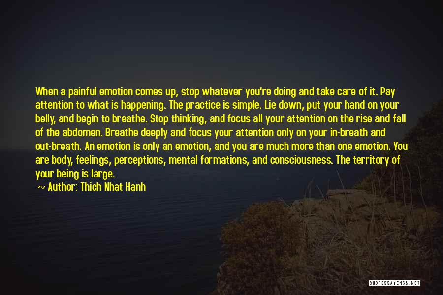 Thich Nhat Hanh Quotes: When A Painful Emotion Comes Up, Stop Whatever You're Doing And Take Care Of It. Pay Attention To What Is