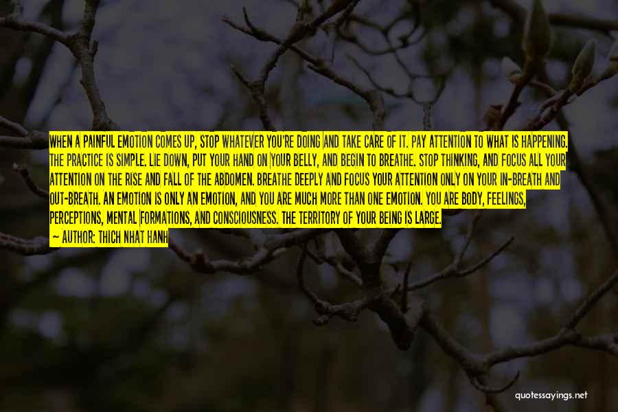 Thich Nhat Hanh Quotes: When A Painful Emotion Comes Up, Stop Whatever You're Doing And Take Care Of It. Pay Attention To What Is