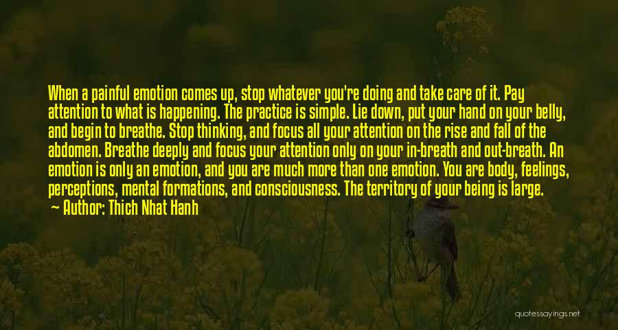 Thich Nhat Hanh Quotes: When A Painful Emotion Comes Up, Stop Whatever You're Doing And Take Care Of It. Pay Attention To What Is