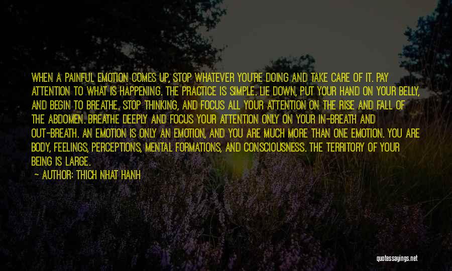 Thich Nhat Hanh Quotes: When A Painful Emotion Comes Up, Stop Whatever You're Doing And Take Care Of It. Pay Attention To What Is