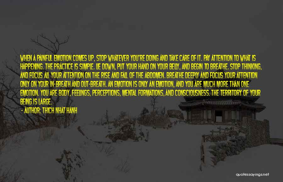 Thich Nhat Hanh Quotes: When A Painful Emotion Comes Up, Stop Whatever You're Doing And Take Care Of It. Pay Attention To What Is