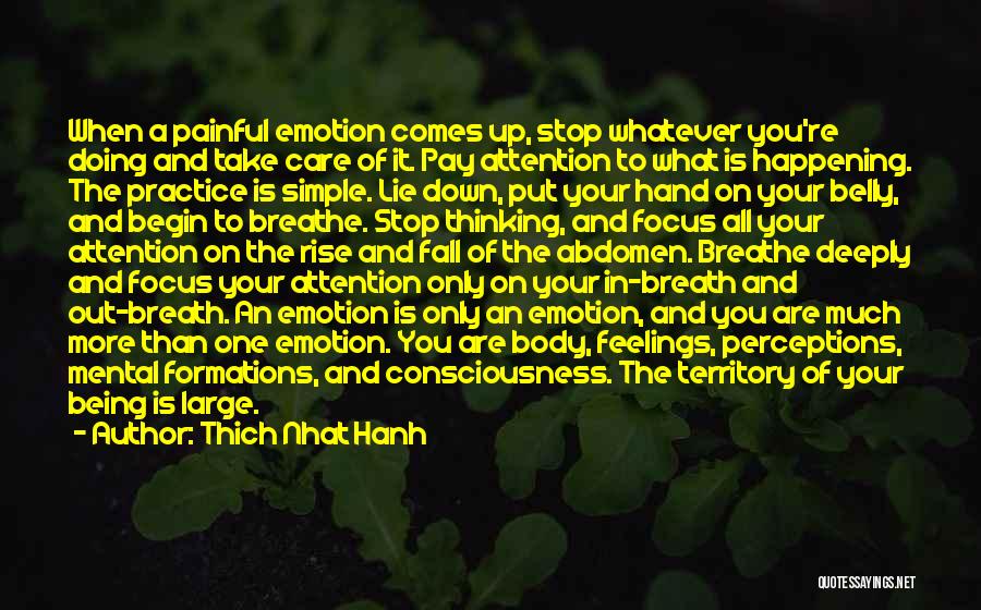 Thich Nhat Hanh Quotes: When A Painful Emotion Comes Up, Stop Whatever You're Doing And Take Care Of It. Pay Attention To What Is