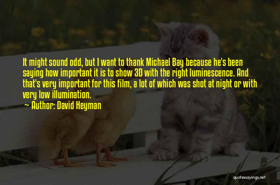 David Heyman Quotes: It Might Sound Odd, But I Want To Thank Michael Bay Because He's Been Saying How Important It Is To