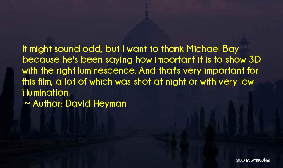 David Heyman Quotes: It Might Sound Odd, But I Want To Thank Michael Bay Because He's Been Saying How Important It Is To